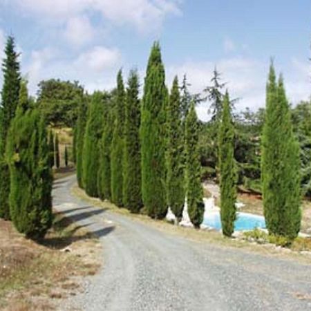 Affittacamere Sassi Bianchi Sensano Esterno foto
