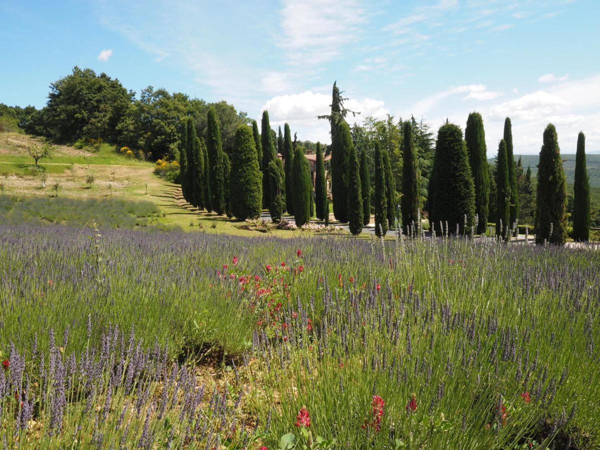 Affittacamere Sassi Bianchi Sensano Esterno foto