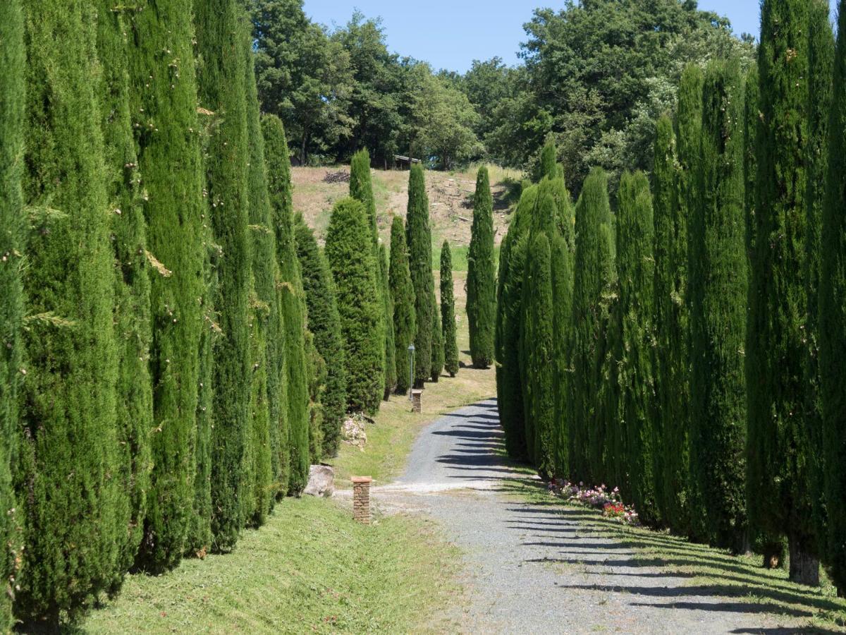 Affittacamere Sassi Bianchi Sensano Esterno foto